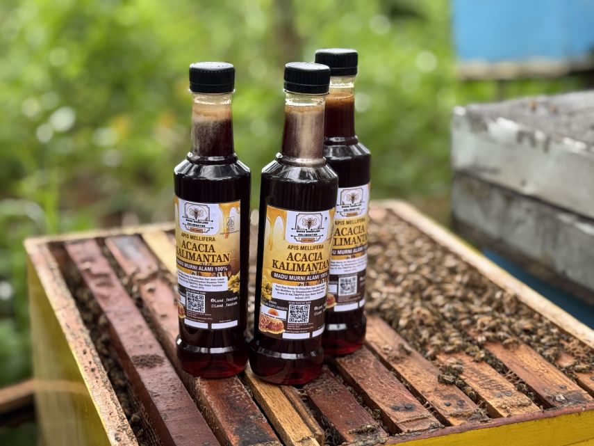Madu Ternak Lokal
